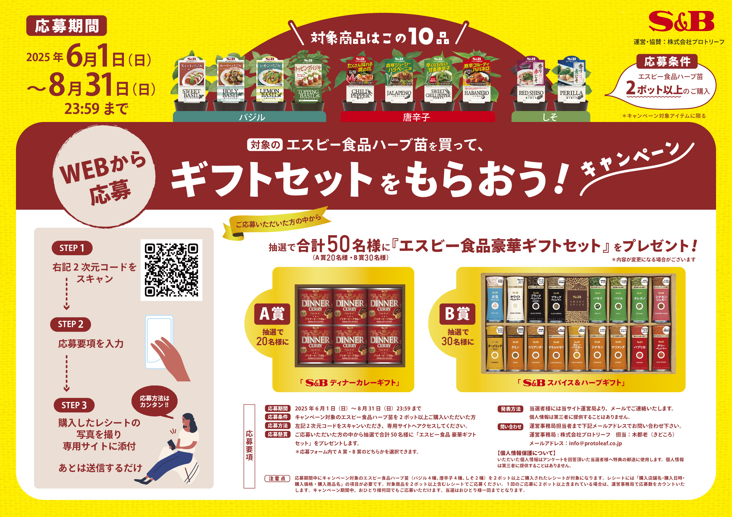 キャンペーン画像